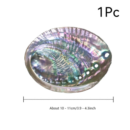 1pc Premium Large Abalone Shell - Special Gift For Loved Ones.