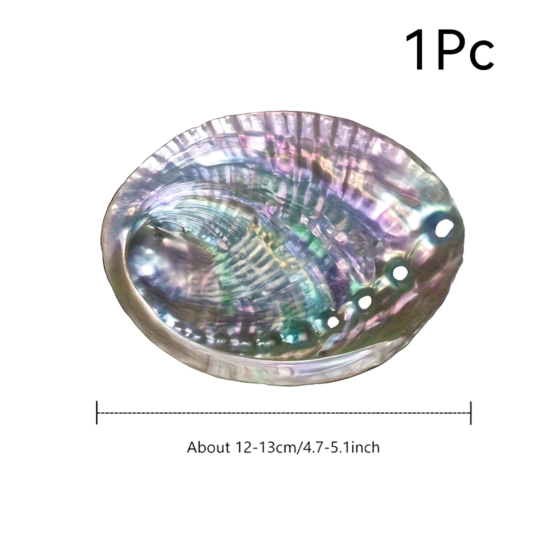 1pc Premium Large Abalone Shell - Special Gift For Loved Ones.