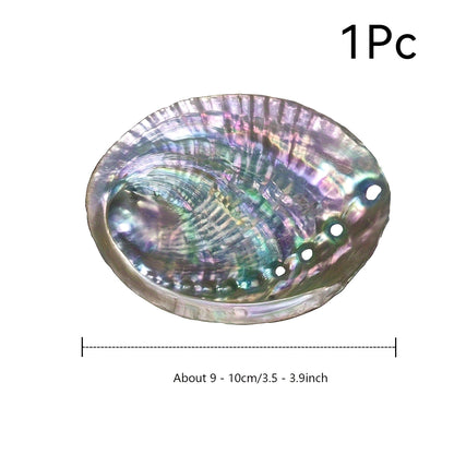 1pc Premium Large Abalone Shell - Special Gift For Loved Ones.