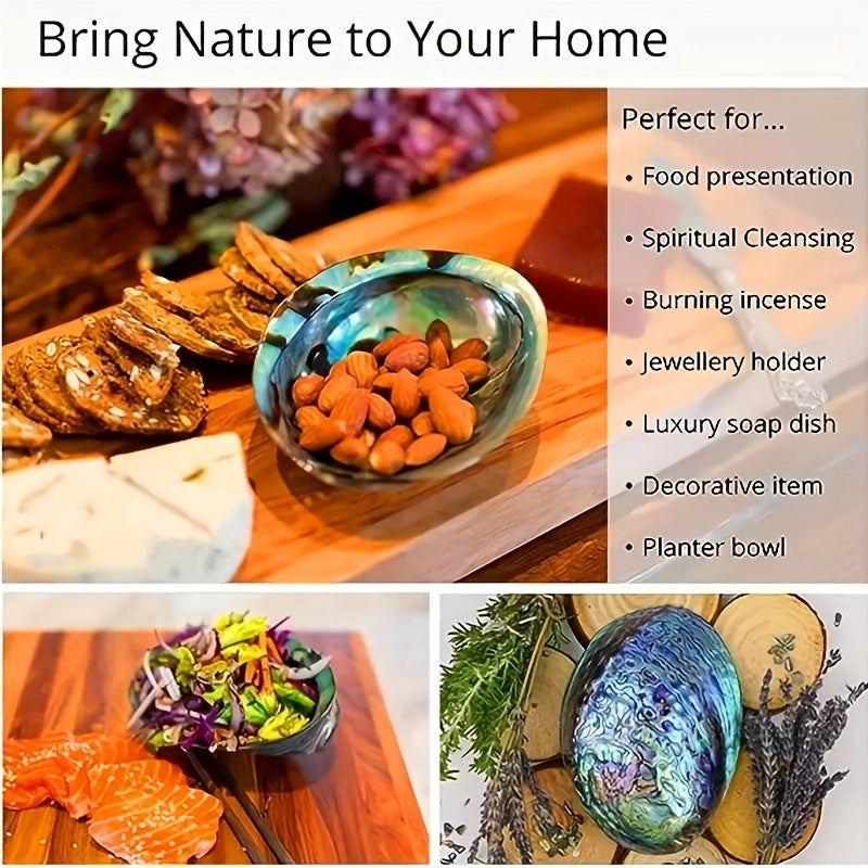 1pc Premium Large Abalone Shell - Special Gift For Loved Ones.