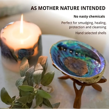 1pc Premium Large Abalone Shell - Special Gift For Loved Ones.